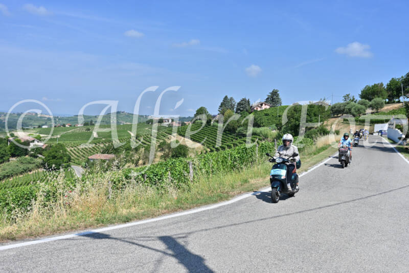 dsc_8352-standard-6adsyx.jpg
