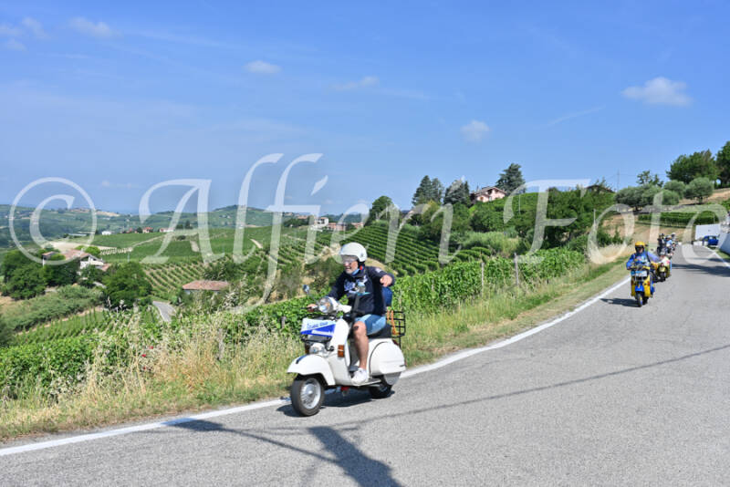 dsc_8360-standard-1lin0c.jpg