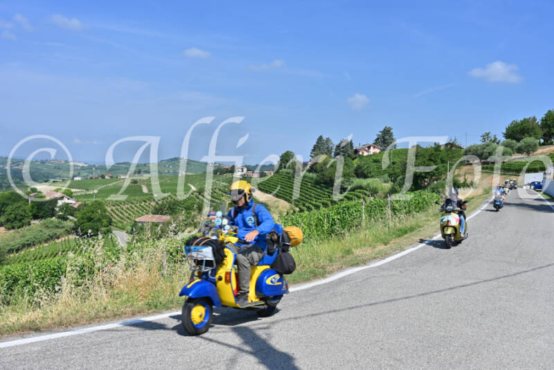 dsc_8365-standard-j2xuqz.jpg