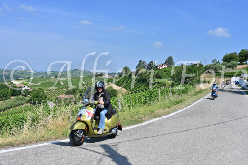dsc_8369-standard-rghptj.jpg