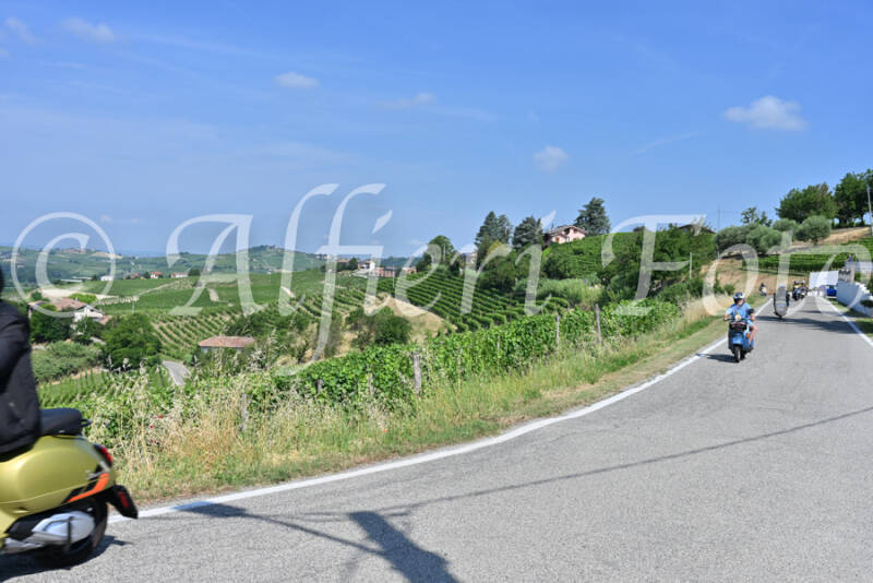 dsc_8370-standard-79qtk7.jpg