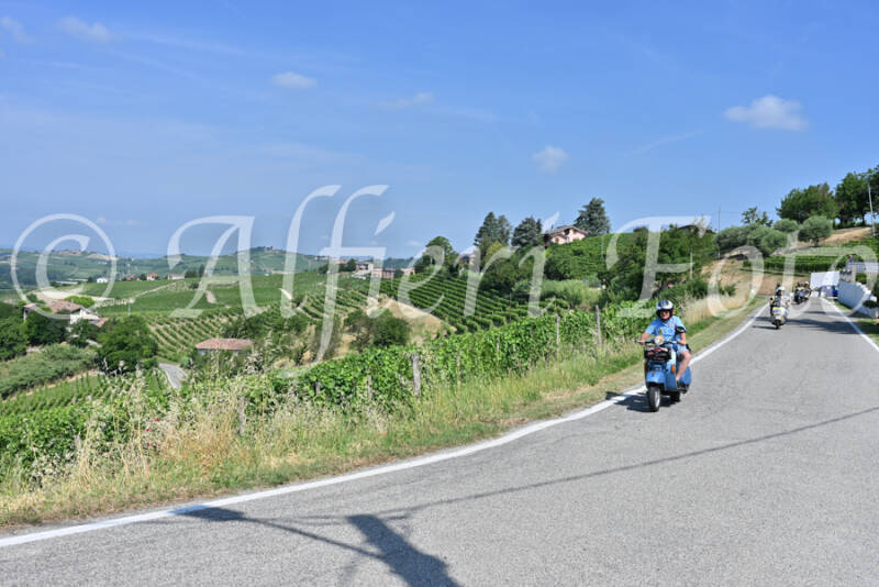 dsc_8373-standard-epo7ec.jpg