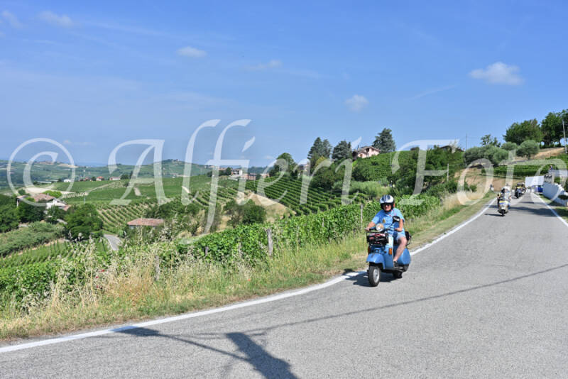 dsc_8374-standard-ig5ehf.jpg