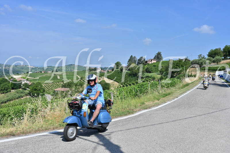 dsc_8376-standard-anisnz.jpg