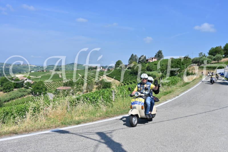 dsc_8381-standard-ct389a.jpg