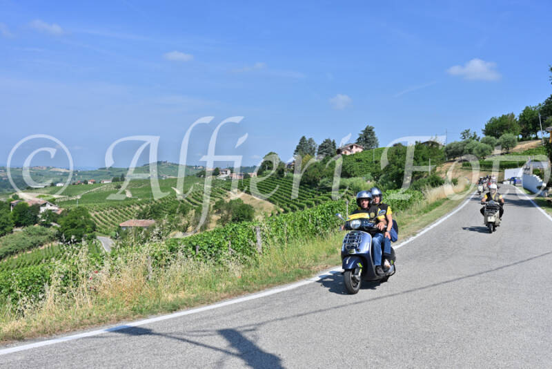dsc_8383-standard-hjr9jc.jpg