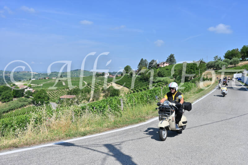 dsc_8388-standard-jdbt4l.jpg
