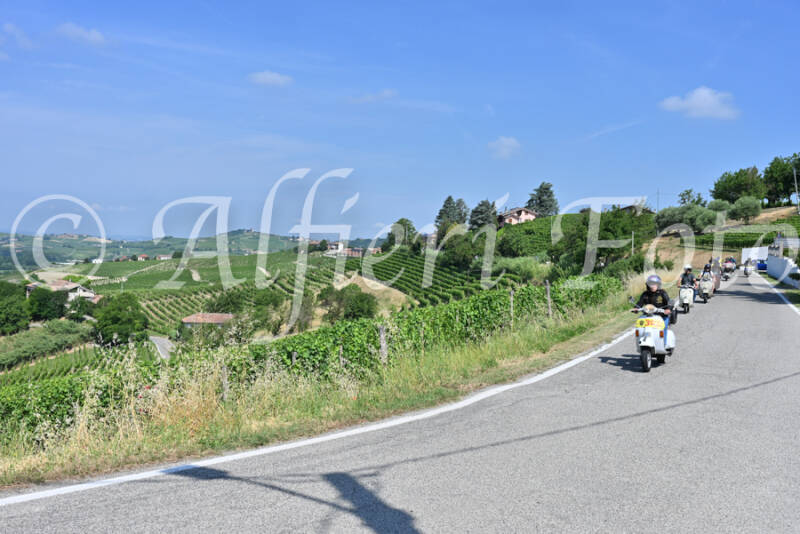 dsc_8390-standard-gjfeub.jpg