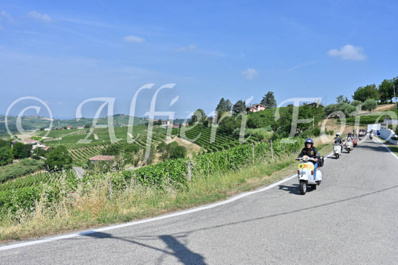 dsc_8391-standard-dp0own.jpg