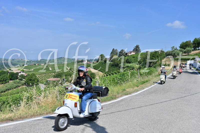 dsc_8393-standard-ht7cqi.jpg