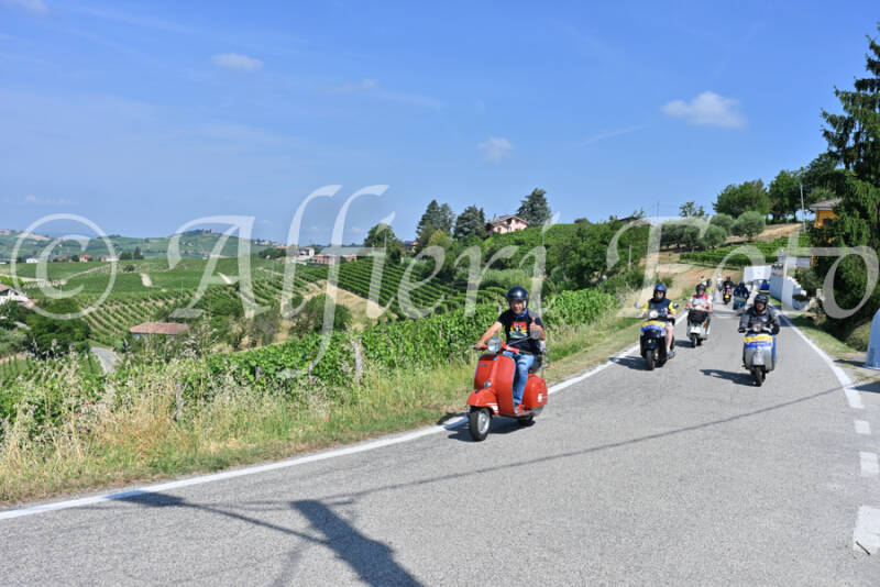 dsc_8403-standard-zmm2cz.jpg