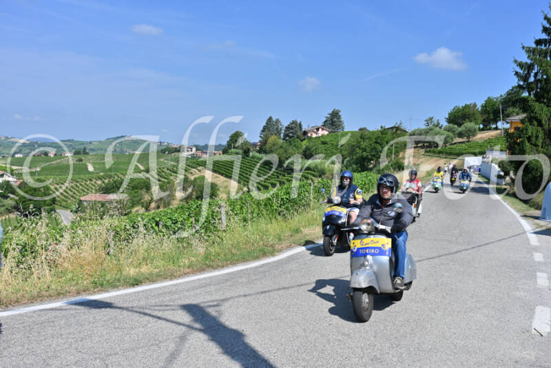 dsc_8406-standard-klxutb.jpg
