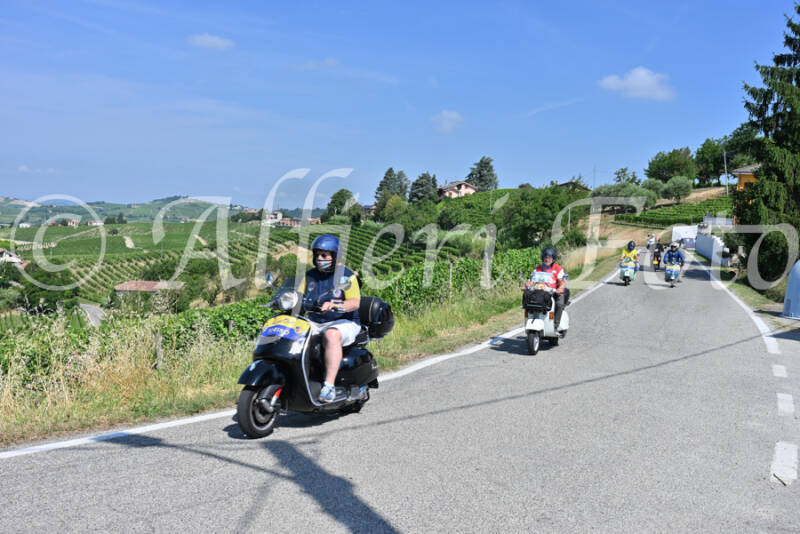 dsc_8408-standard-wv5web.jpg