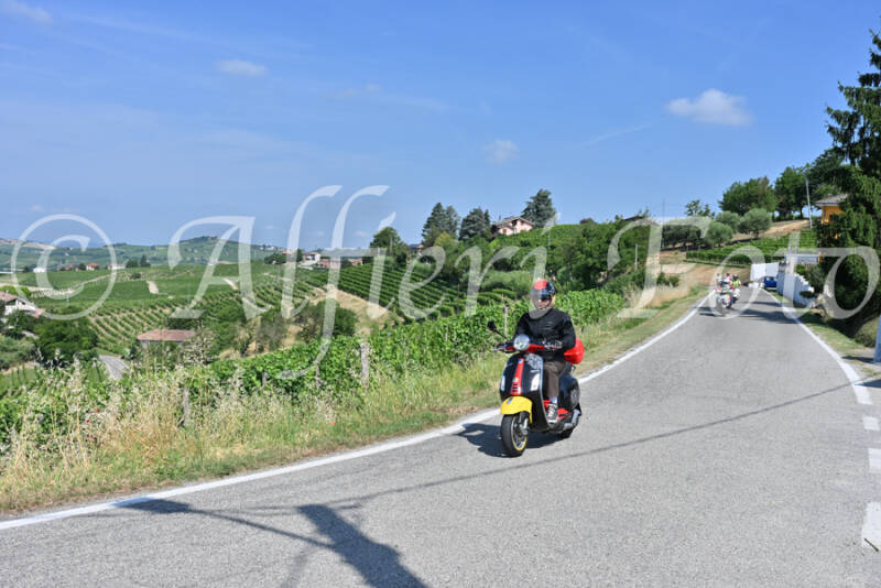 dsc_8416-standard-o7l7il.jpg