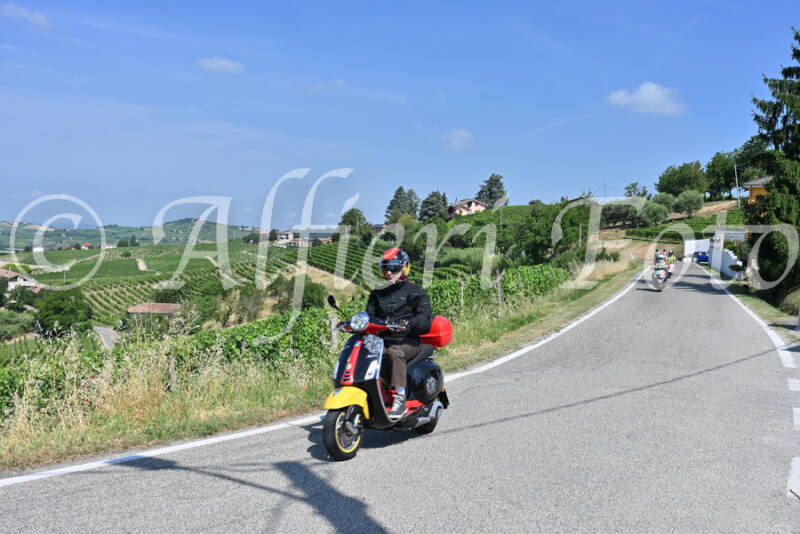 dsc_8417-standard-t2gwqp.jpg
