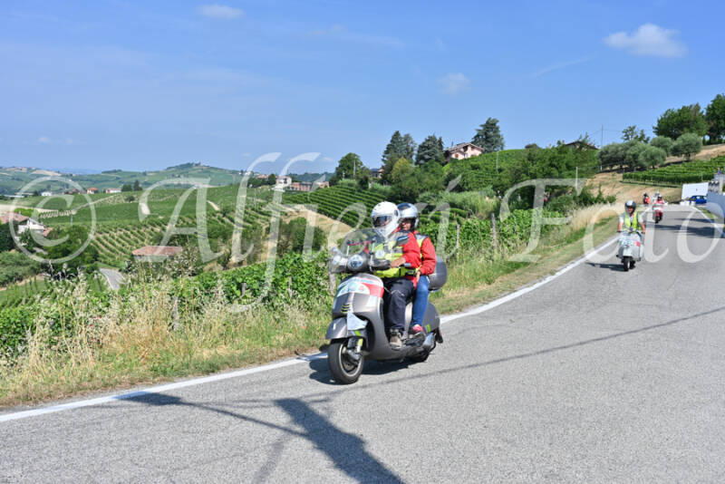 dsc_8419-standard-um7eb5.jpg