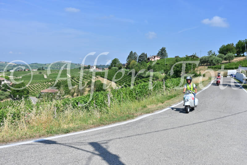 dsc_8421-standard-qqaotk.jpg