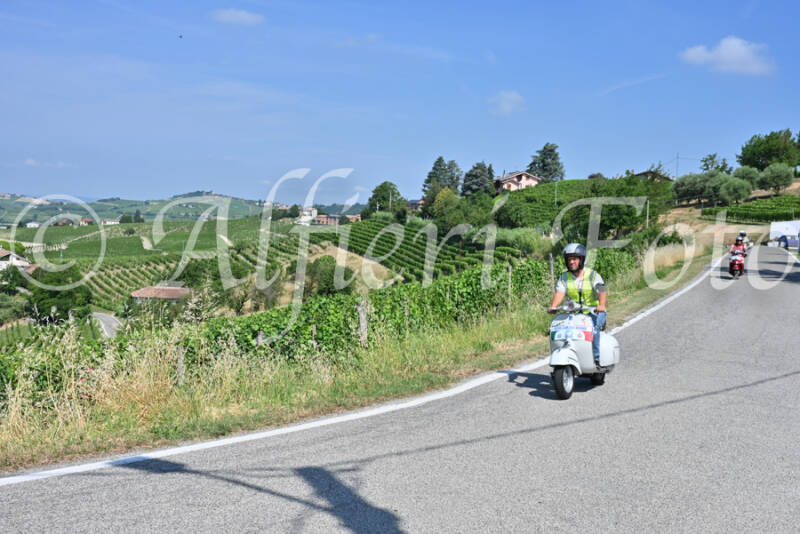 dsc_8422-standard-lq9wq2.jpg