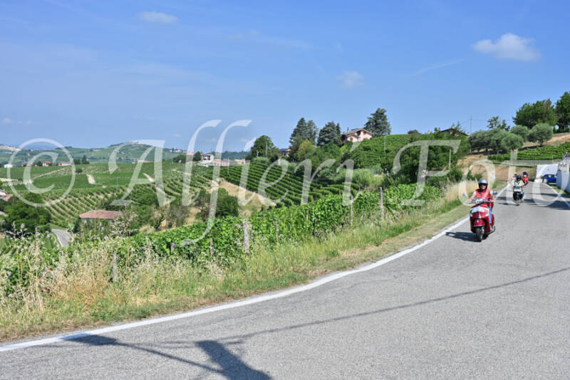 dsc_8425-standard-rhs6ek.jpg