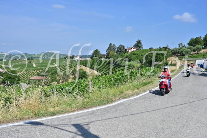 dsc_8426-standard-pwjd9l.jpg