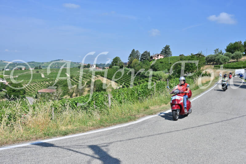 dsc_8427-standard-zk91mv.jpg