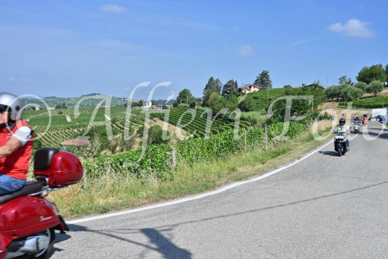dsc_8430-standard-xvcafn.jpg