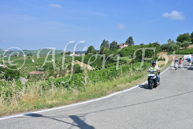 dsc_8432-standard-42awmc.jpg