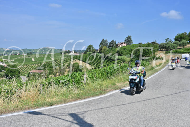 dsc_8433-standard-ug8roz.jpg