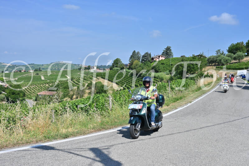 dsc_8434-standard-9lu4vq.jpg