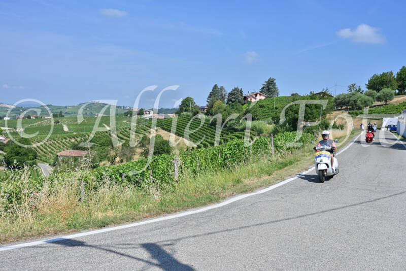 dsc_8435-standard-v7papf.jpg