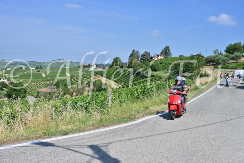 dsc_8437-standard-04mzi8.jpg