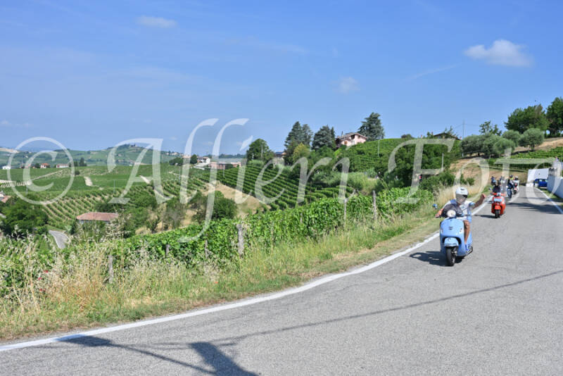 dsc_8440-standard-whk02p.jpg