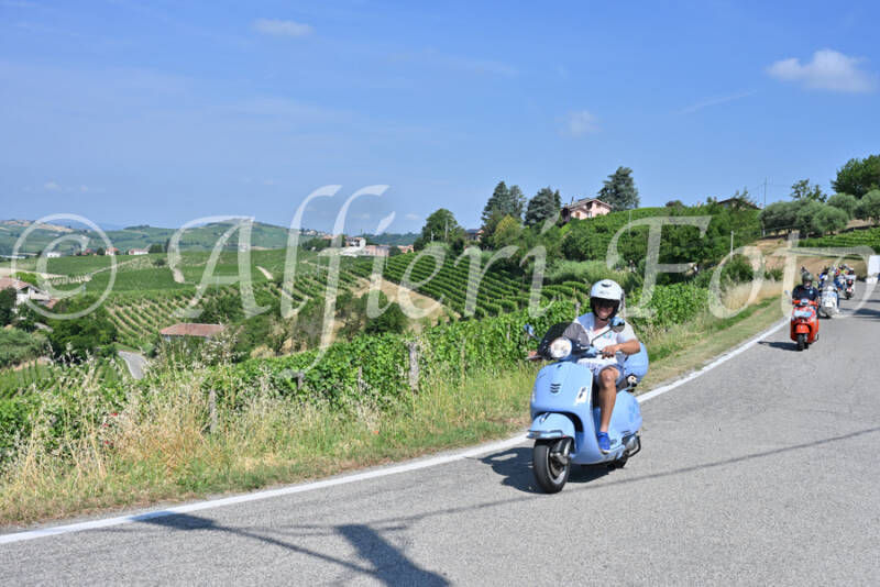 dsc_8442-standard-nqp4sm.jpg