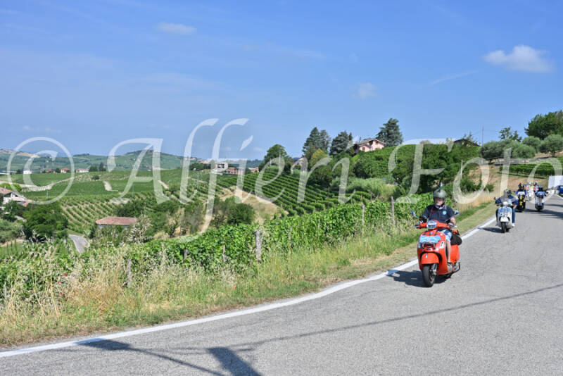 dsc_8444-standard-mw417o.jpg