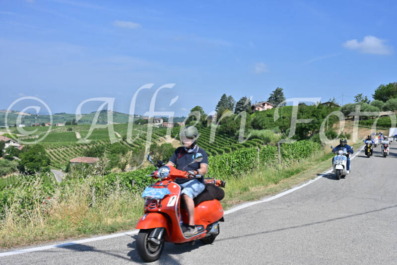 dsc_8446-standard-cxoel8.jpg