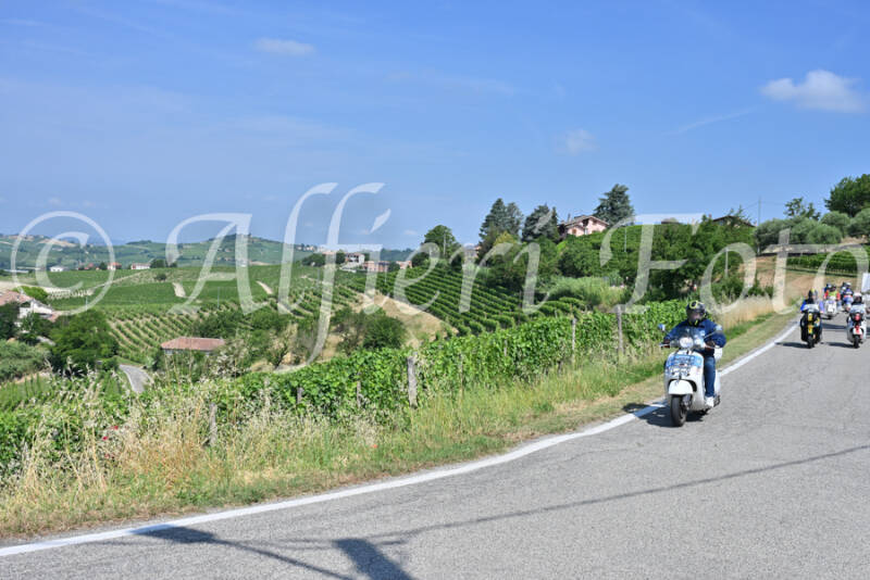 dsc_8447-standard-r8fn1q.jpg