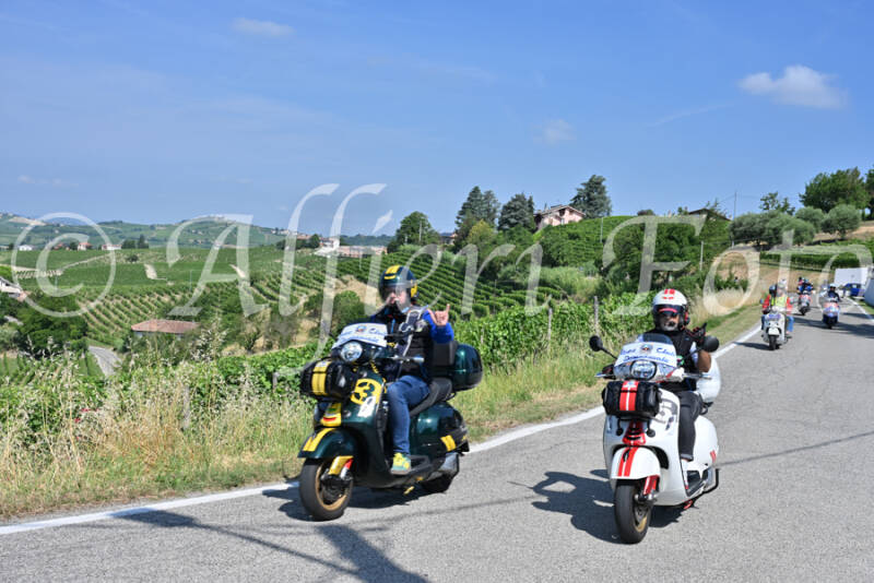 dsc_8452-standard-gv9m76.jpg