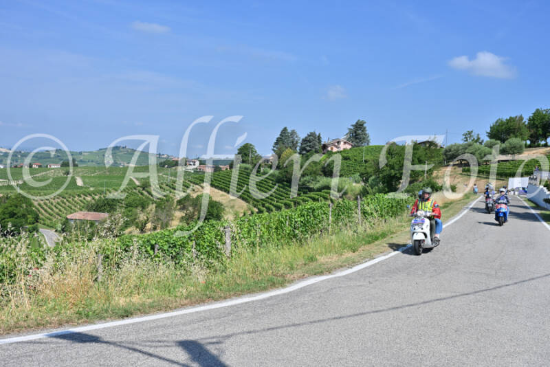 dsc_8455-standard-445xhr.jpg