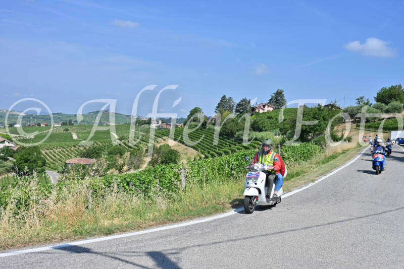dsc_8457-standard-cbx31g.jpg