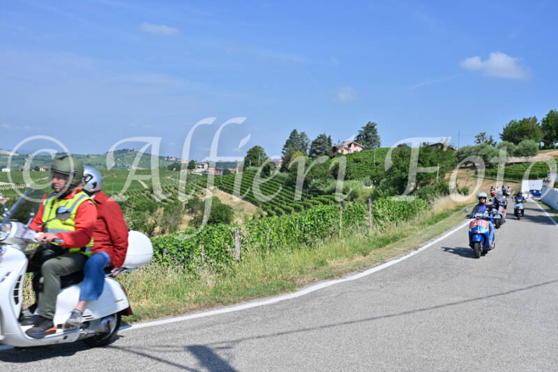 dsc_8459-standard-6nuego.jpg