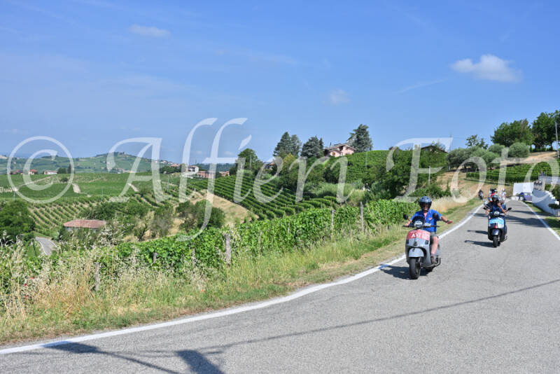 dsc_8464-standard-a4b7yz.jpg