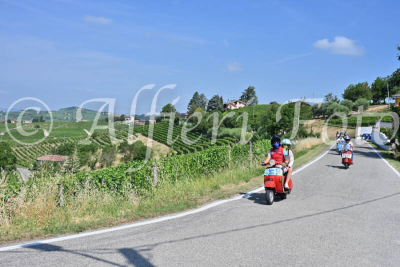 dsc_8472-standard-5xg0sg.jpg
