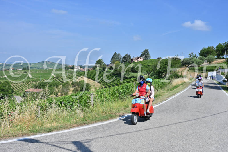 dsc_8473-standard-em5b9b.jpg