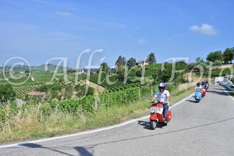 dsc_8477-standard-8xezsl.jpg