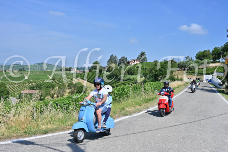 dsc_8483-standard-fgdwg1.jpg