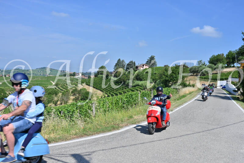 dsc_8484-standard-fk20yj.jpg