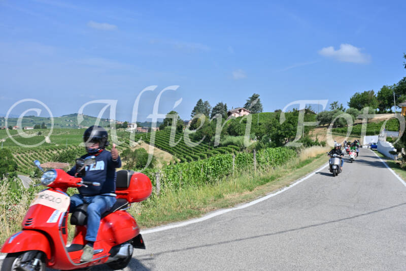 dsc_8485-standard-agqrqc.jpg
