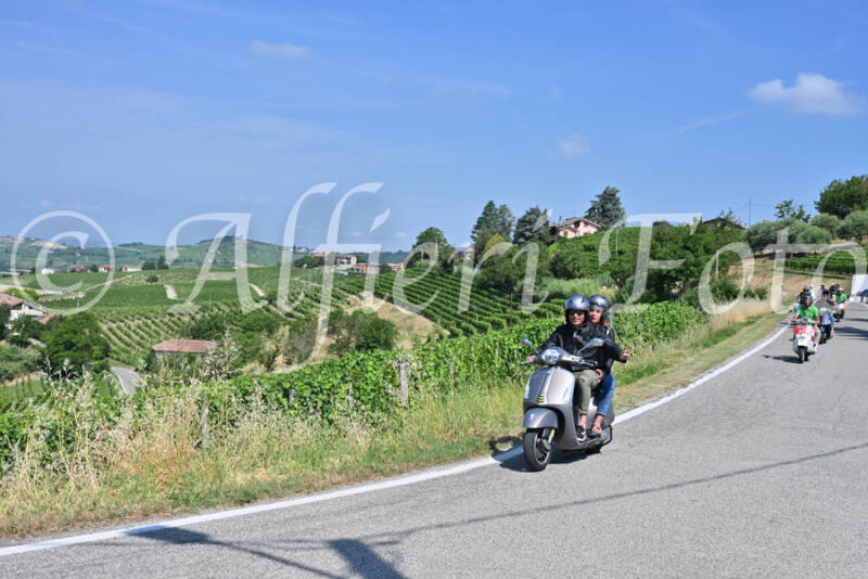 dsc_8488-standard-e575ox.jpg