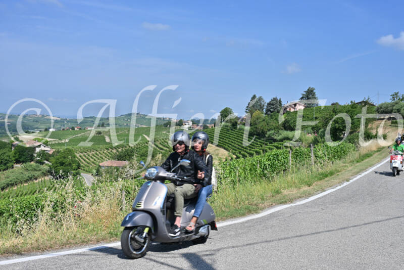 dsc_8489-standard-zgewt0.jpg