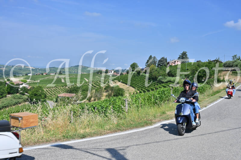 dsc_8494-standard-te3cte.jpg